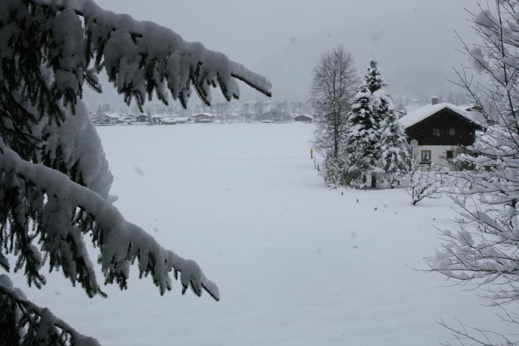 Landhaus Greiderer Kössen Exteriör bild